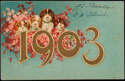 1903
