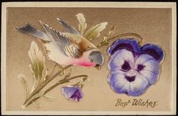 Best Wishes.