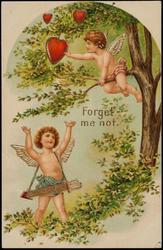 Forget me not.