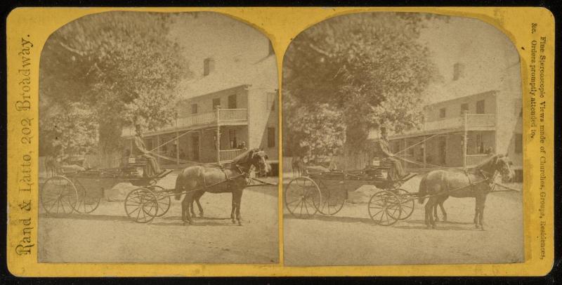 Horse and Carriage