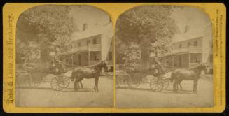 Horse and Carriage
