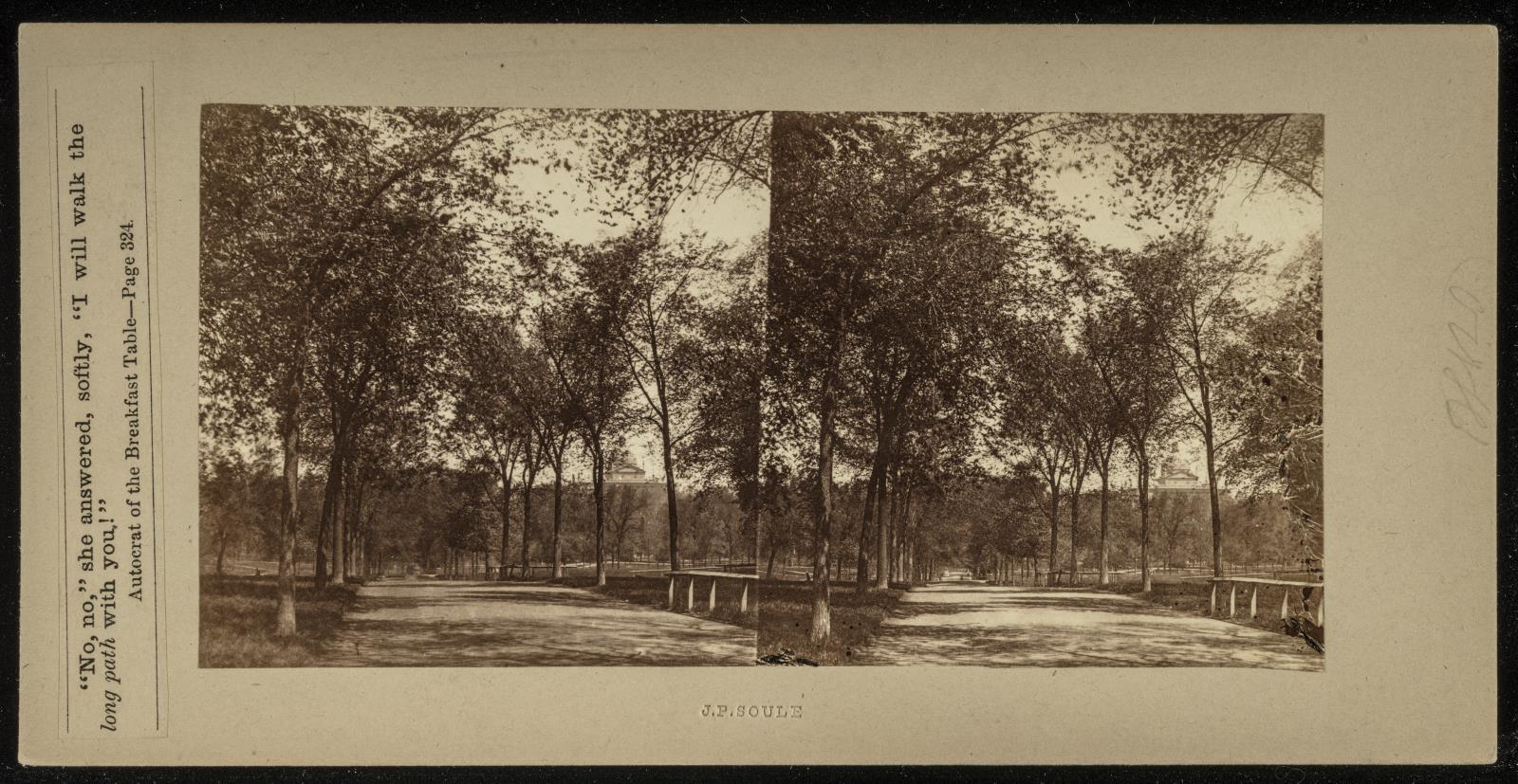 Beacon Street Mall, Boston Common