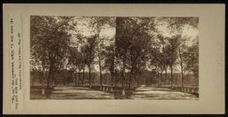 Beacon Street Mall, Boston Common