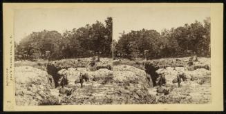 Dry Bed of Passaic Falls, N. J.