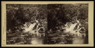 Near Woodbury Mills, Orange Co., N.Y.