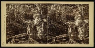 Falls on Indian River. Orange Co., N. Y.