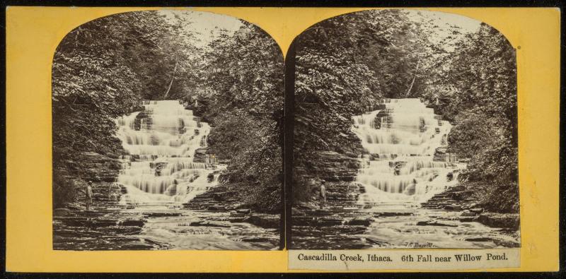 Cascadilla Creek, Ithaca. 6th Fall near Willow Pond.