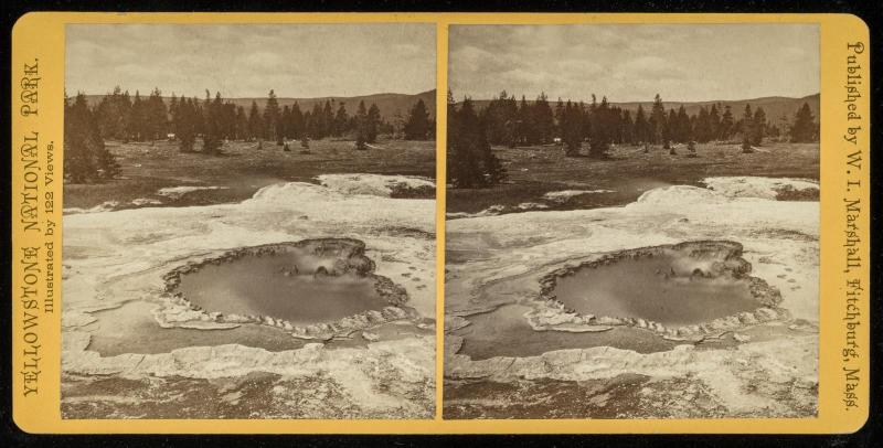 Scalloped Spring and Dome Geyser