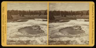 Scalloped Spring and Dome Geyser