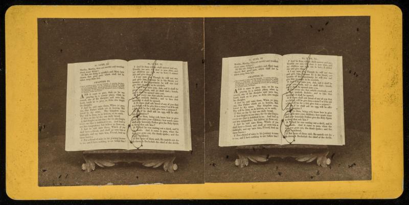 Still Life with Book and Spectacles