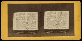 Still Life with Book and Spectacles
