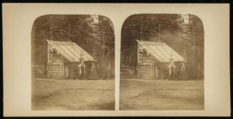 Couple Standing Before Cabin in Woods