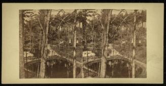 View in Unidentified Cemetery