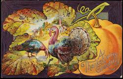 A Thanksgiving Greeting