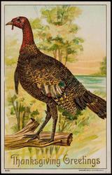 Thanksgiving greetings