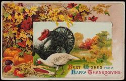 BEST WISHES FOR A HAPPY THANKSGIVING.
