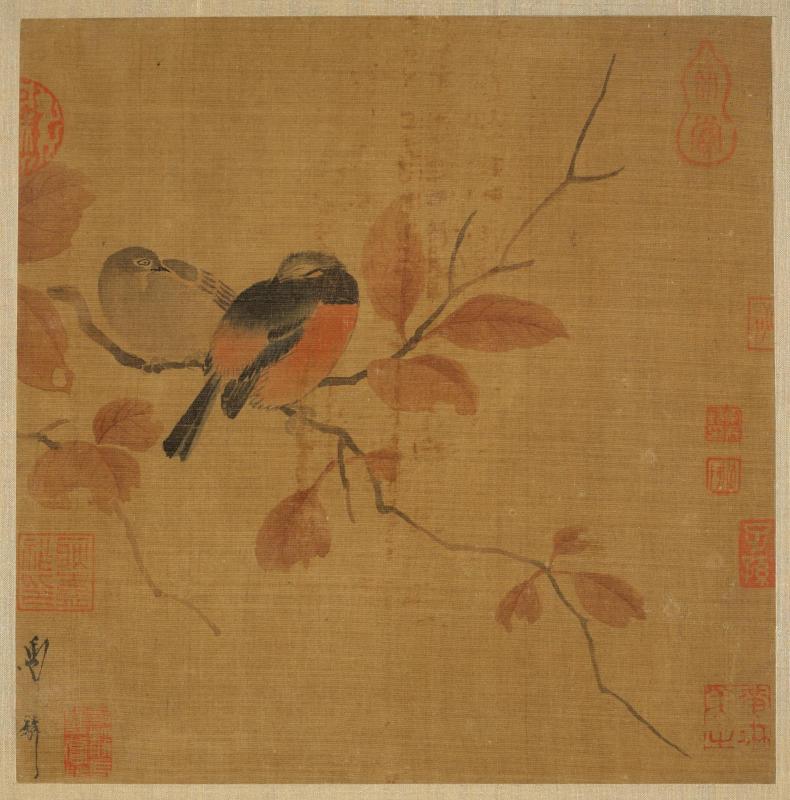 Pair of redstarts with autumn leaves