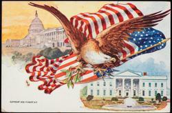 Eagle, flag and olive branch with the White House.