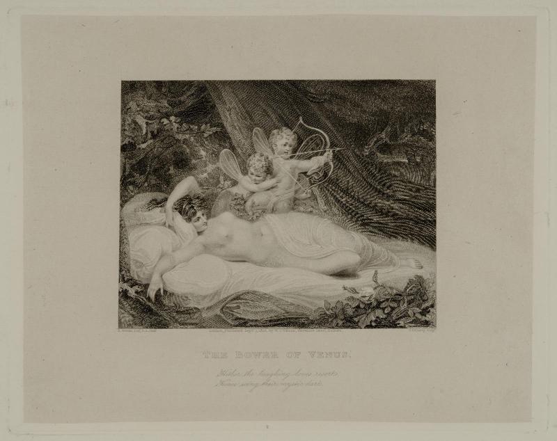 The Bower of Venus