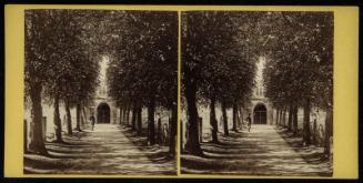 Stratford-on-Avon: Avenue at the Parish Church.