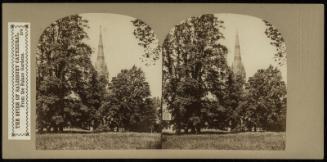 The Spire of Salisbury Cathedral, from the Palace Gardens