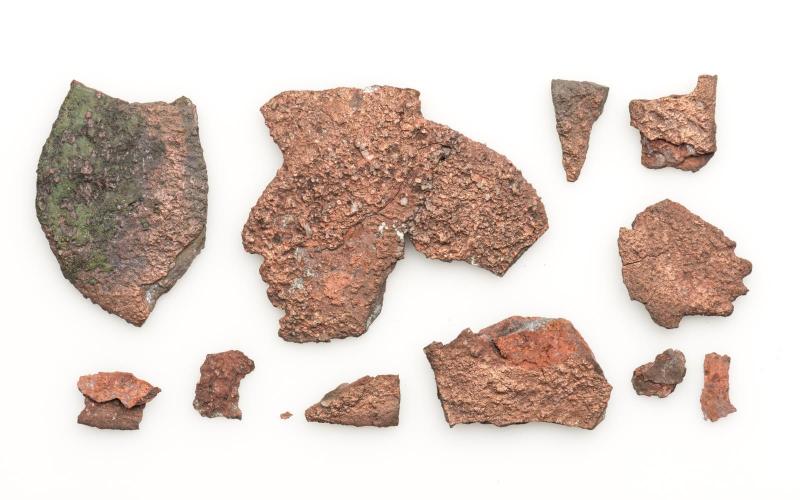 Plaque fragment