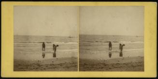 A Breaking Wave (instantaneous).