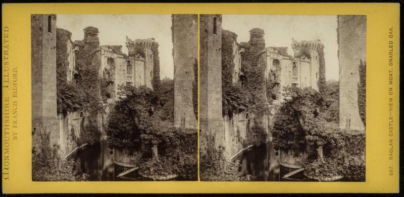 Raglan Castle - View on Moat, Gnarled Oak.