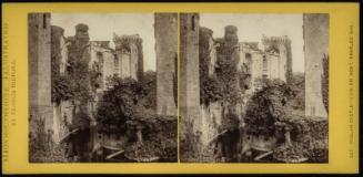 Raglan Castle - View on Moat, Gnarled Oak.
