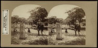 Rufus' Stone, in the New Forest