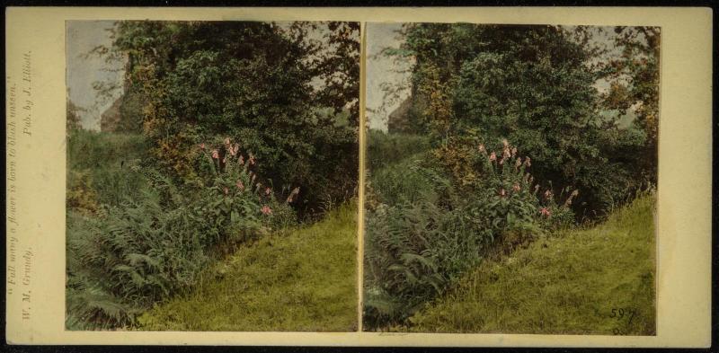 English Landscape: "Full many a flower is born to blush unseen"