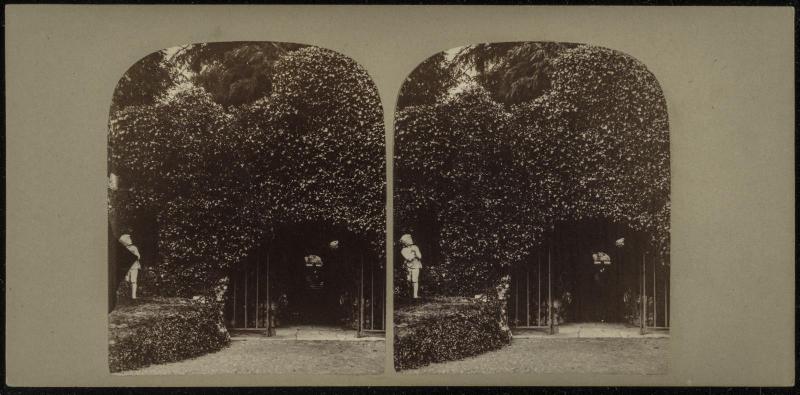 The Celebrated Grotto in the Garden of Pope's Villa