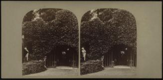 The Celebrated Grotto in the Garden of Pope's Villa