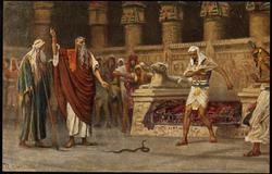 Bild VII: Moses und Aaron vor Pharao.
II. Moses 7, 10.