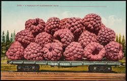 2190 -- A CARLOAD OF RASPBERRIES FROM ___________________