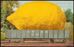 1893  I'M SENDING YOU A LEMON FROM ____________________