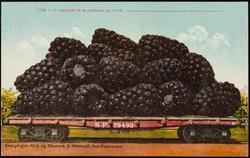 2194 -- A CARLOAD OF BLACKBERRIES FROM _______________