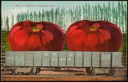 2183 -- A CARLOAD OF TOMATOES FROM ____________________