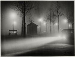 Avenue de l'Observatoire dans le Brouillard