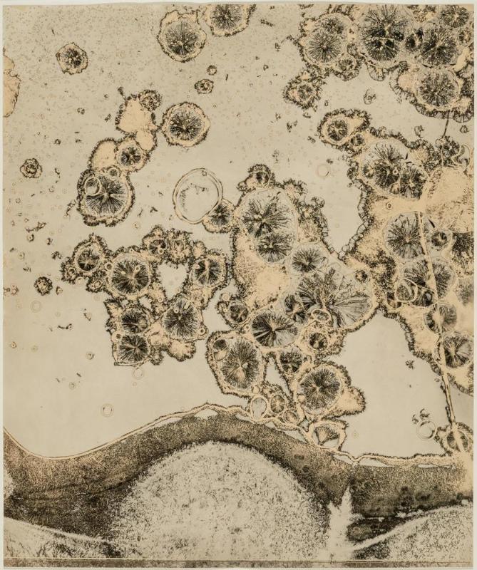 First Matériographie
