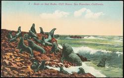 2 -- Seals on Seal Rocks, Cliff House, San Francisco, California.