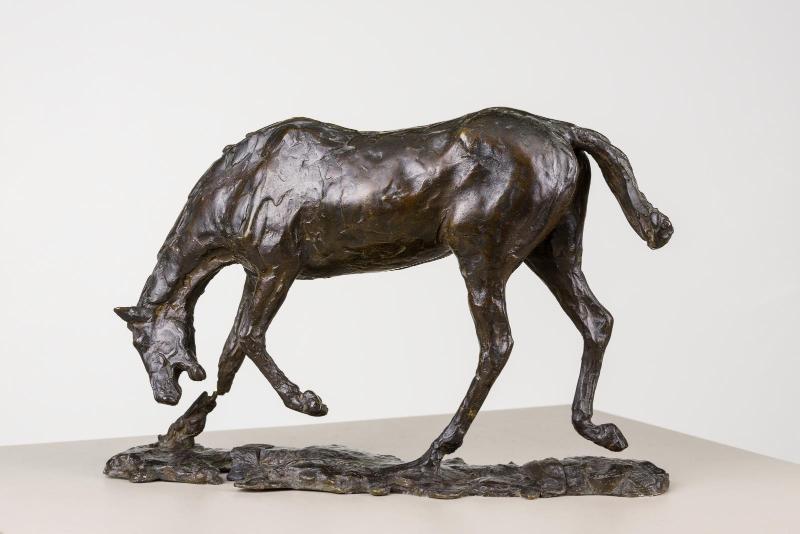 Horse with Head Lowered