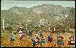 6 -- GATHERING POPPIES IN MIDWINTER, IN CALIFORNIA.