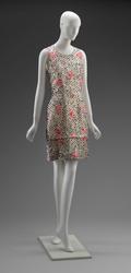 Woman's Dress