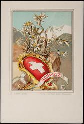SCHWEIZ. Coat of Arms