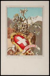 SCHWEIZ. Coat of Arms