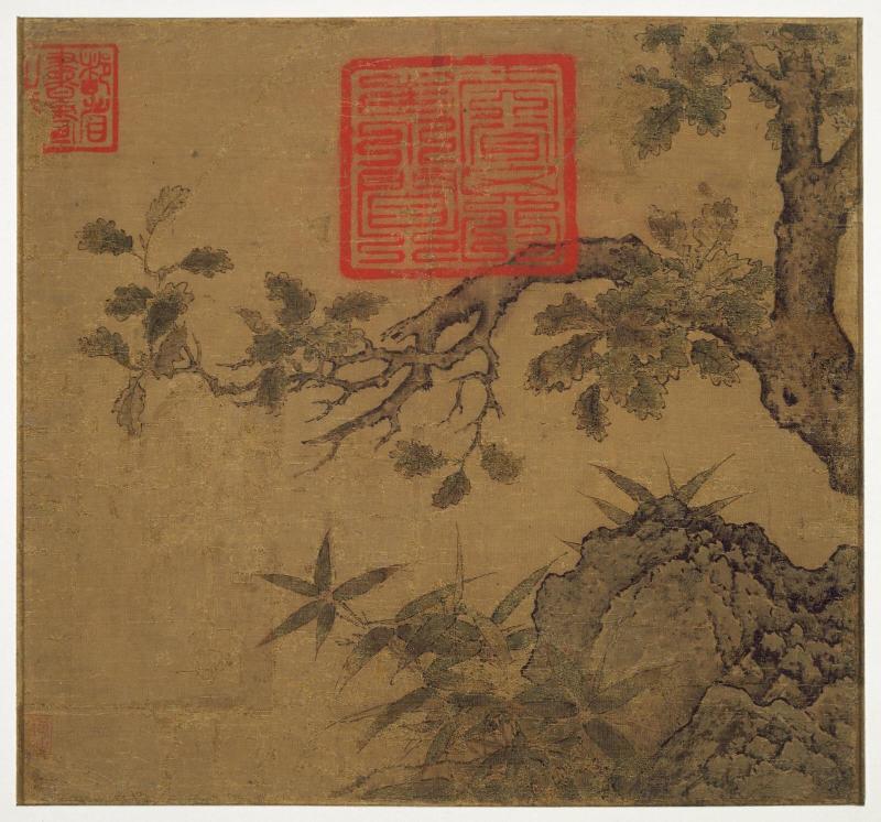 Bamboo and rock under an old tree