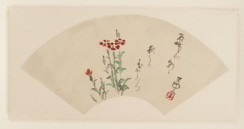 China Pinks