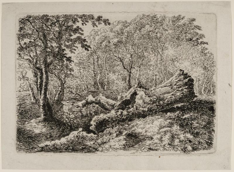 The Mouldering Tree Trunk