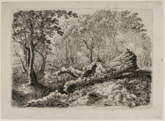 The Mouldering Tree Trunk